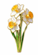 Значок &ldquo;Narcissus Bloom&rdquo; 1497 фото 2