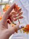 Металева закладинка &ldquo;Leaf Charm&rdquo; 994 фото 3
