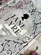 Ваза-книга &laquo;Jane Eyre&raquo;, акрилова 794 фото 4
